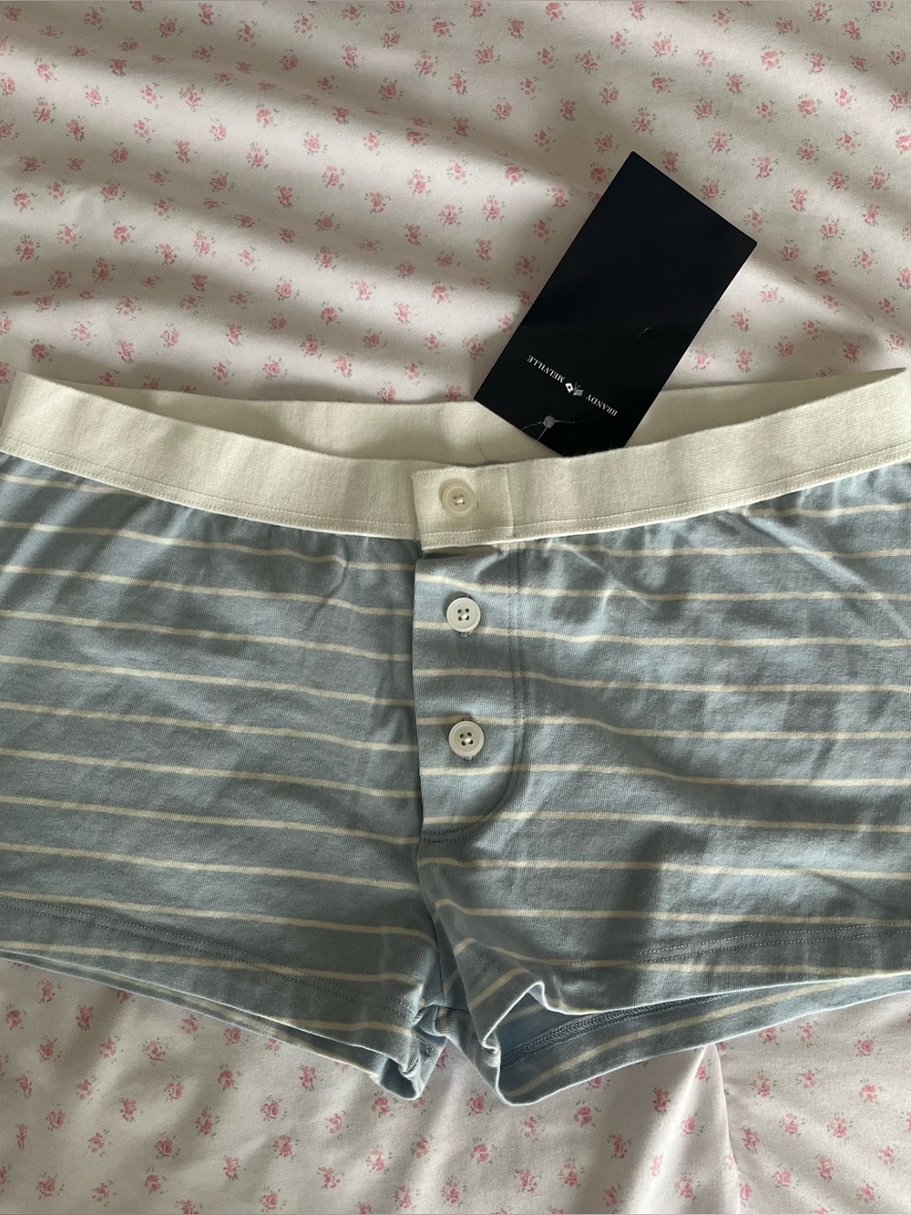 brandy melville baby blue striped boy shorts🫐🫐
